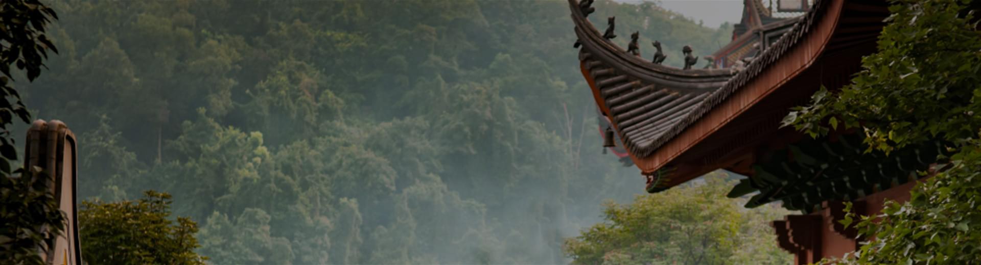 國藥藥材文化天地