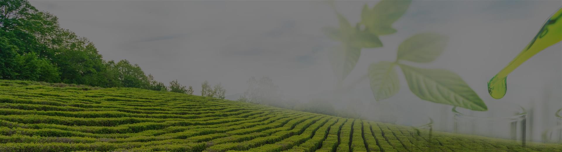 國藥藥材股份有限公司簡介