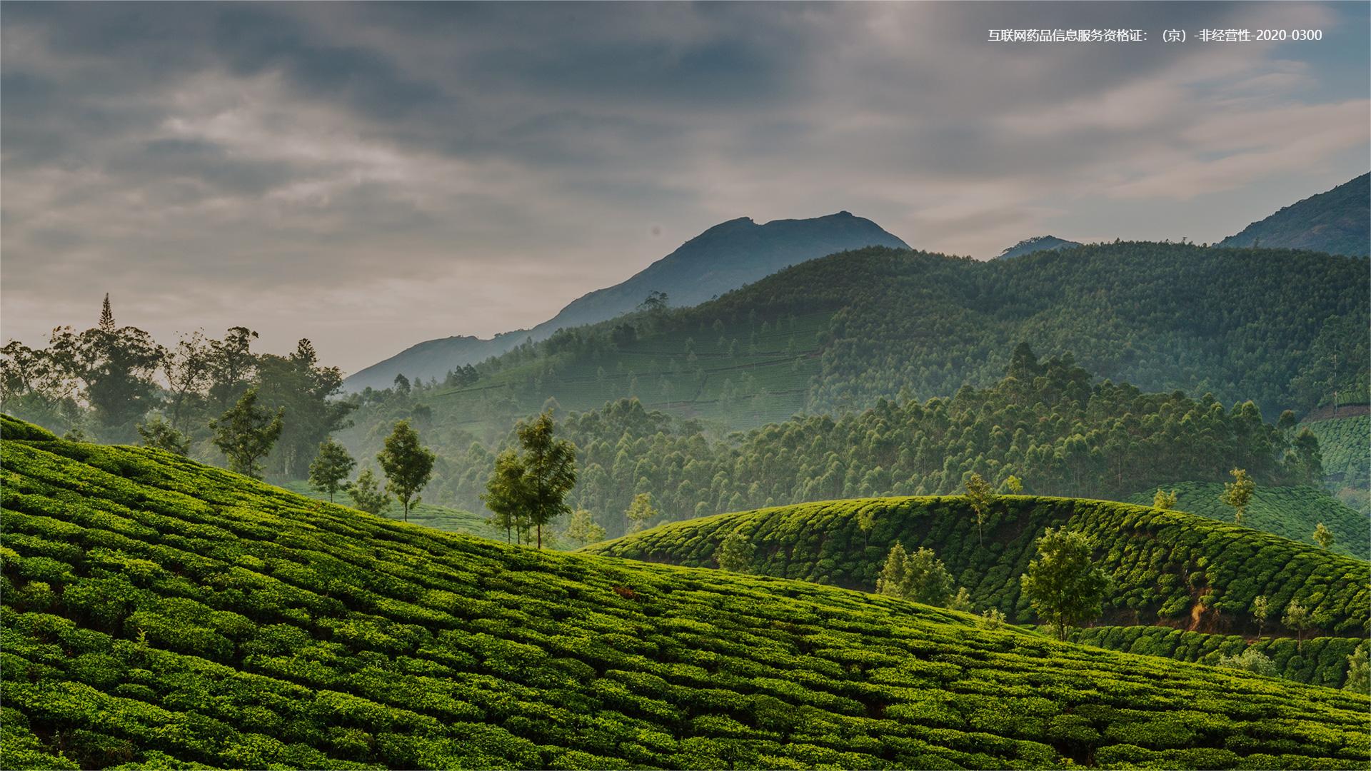 重塑中醫(yī)藥產(chǎn)業(yè)鏈 創(chuàng)造大健康新生態(tài) 互聯(lián)網(wǎng)藥品信息服務(wù)資格證： （京）-非經(jīng)營(yíng)性-2020-0300